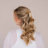 Ilvy Haarklammer