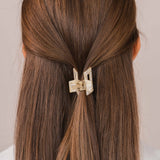 Ilvy Haarklammer