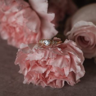 Princeton-ring