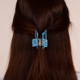 Parijse haarclip