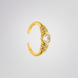 Princeton-ring
