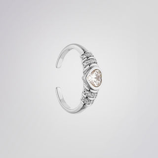 Princeton-ring